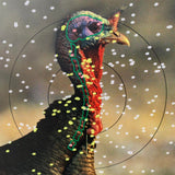 Verdict TURKEY TSS 3" 410 7/8oz #9 1/2 Shot